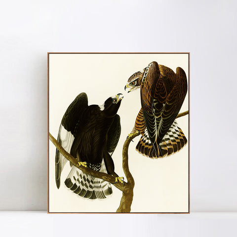 INVIN ART Framed Canvas Series#148 by John James Audubon Wall Art Living Room Home Office Decorations