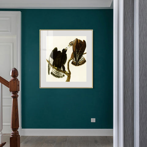 INVIN ART Metal Framed Canvas Series#148 by John James Audubon Wall Art Living Room Home Office Decorations