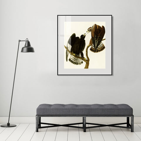 INVIN ART Metal Framed Canvas Series#148 by John James Audubon Wall Art Living Room Home Office Decorations
