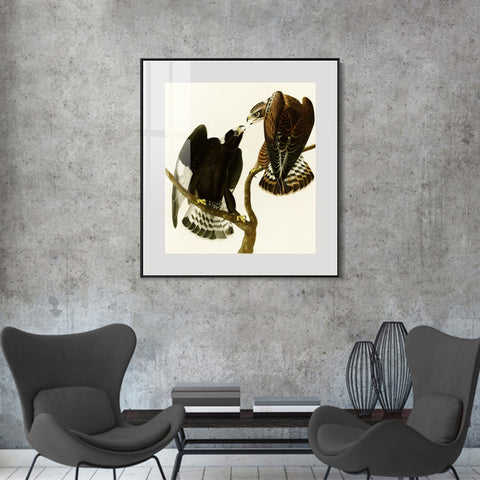 INVIN ART Metal Framed Canvas Series#148 by John James Audubon Wall Art Living Room Home Office Decorations