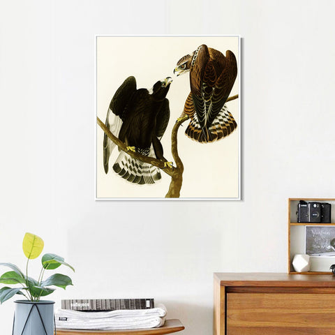 INVIN ART Framed Canvas Series#148 by John James Audubon Wall Art Living Room Home Office Decorations