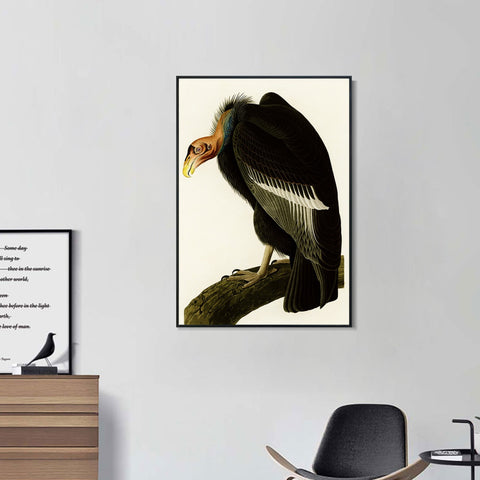 INVIN ART Framed Canvas Series#149 by John James Audubon Wall Art Living Room Home Office Decorations