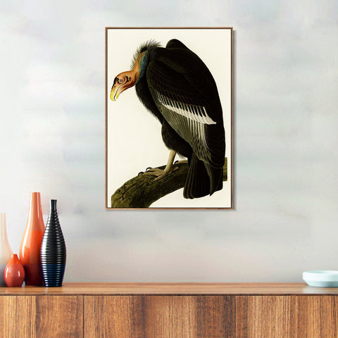 INVIN ART Framed Canvas Series#149 by John James Audubon Wall Art Living Room Home Office Decorations
