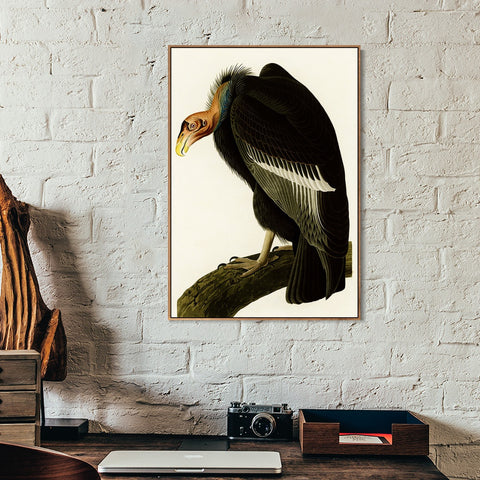 INVIN ART Framed Canvas Series#149 by John James Audubon Wall Art Living Room Home Office Decorations