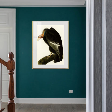 INVIN ART Metal Framed Canvas Series#149 by John James Audubon Wall Art Living Room Home Office Decorations