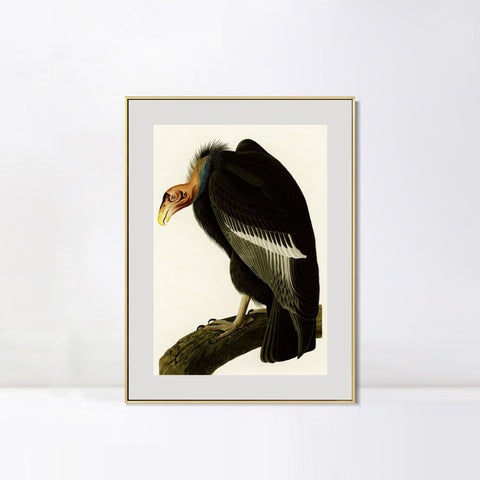 INVIN ART Metal Framed Canvas Series#149 by John James Audubon Wall Art Living Room Home Office Decorations