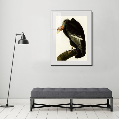INVIN ART Metal Framed Canvas Series#149 by John James Audubon Wall Art Living Room Home Office Decorations