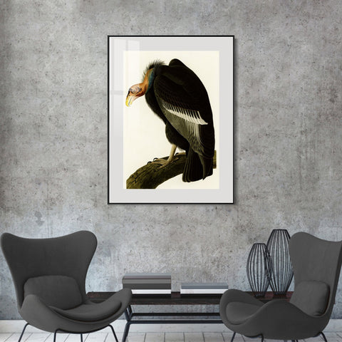 INVIN ART Metal Framed Canvas Series#149 by John James Audubon Wall Art Living Room Home Office Decorations