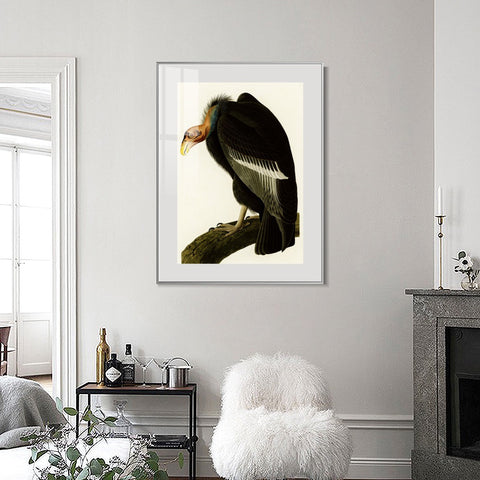 INVIN ART Metal Framed Canvas Series#149 by John James Audubon Wall Art Living Room Home Office Decorations