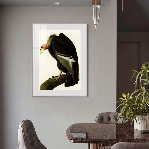 INVIN ART Metal Framed Canvas Series#149 by John James Audubon Wall Art Living Room Home Office Decorations