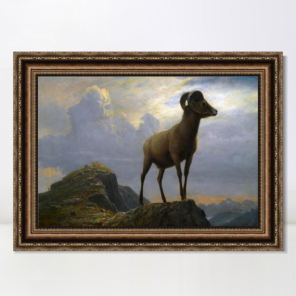 INVIN ART Framed Canvas Art Giclee Print Rocky mountain Sheep by Albert Bierstadt Wall Art