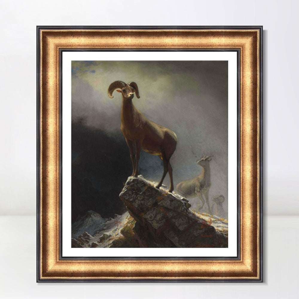 INVIN ART Framed Canvas Art Giclee Print Rocky Mountain Sheep circa 1882-1883 by Albert Bierstadt Wall Art