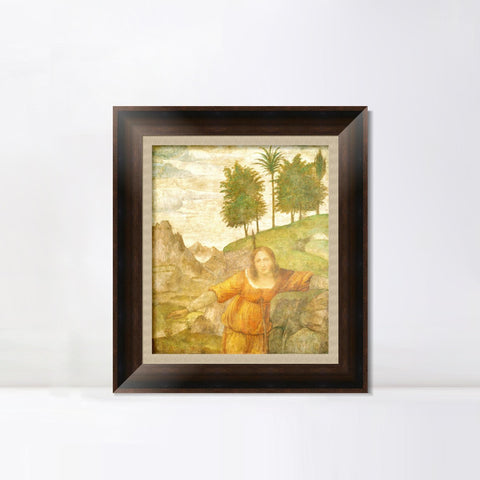 INVIN ART Framed Canvas Art Giclee Print Series#089 by Leonardo da Vinci Wall Art Living Room Home Office Decorations