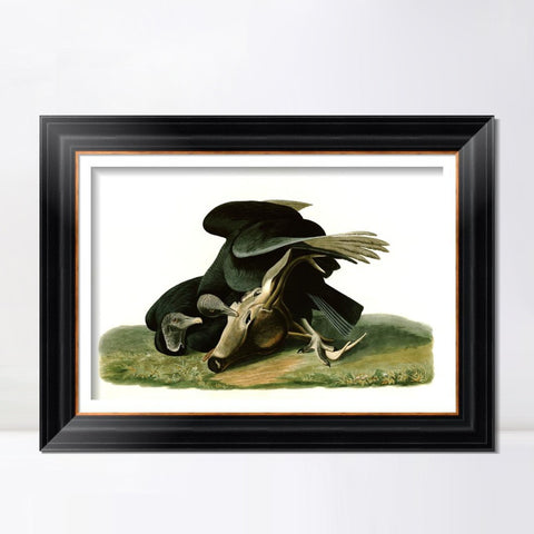 INVIN ART Framed Canvas Art Giclee Print Black Vulture or Carrion Crow by John James Audubon Living Room Home Office Wall Art Decorations