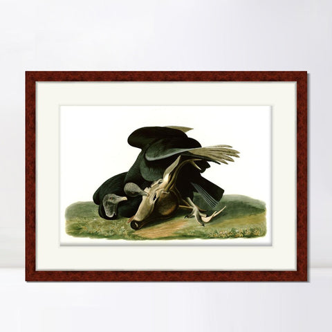 INVIN ART Framed Canvas Art Giclee Print Black Vulture or Carrion Crow by John James Audubon Living Room Home Office Wall Art Decorations