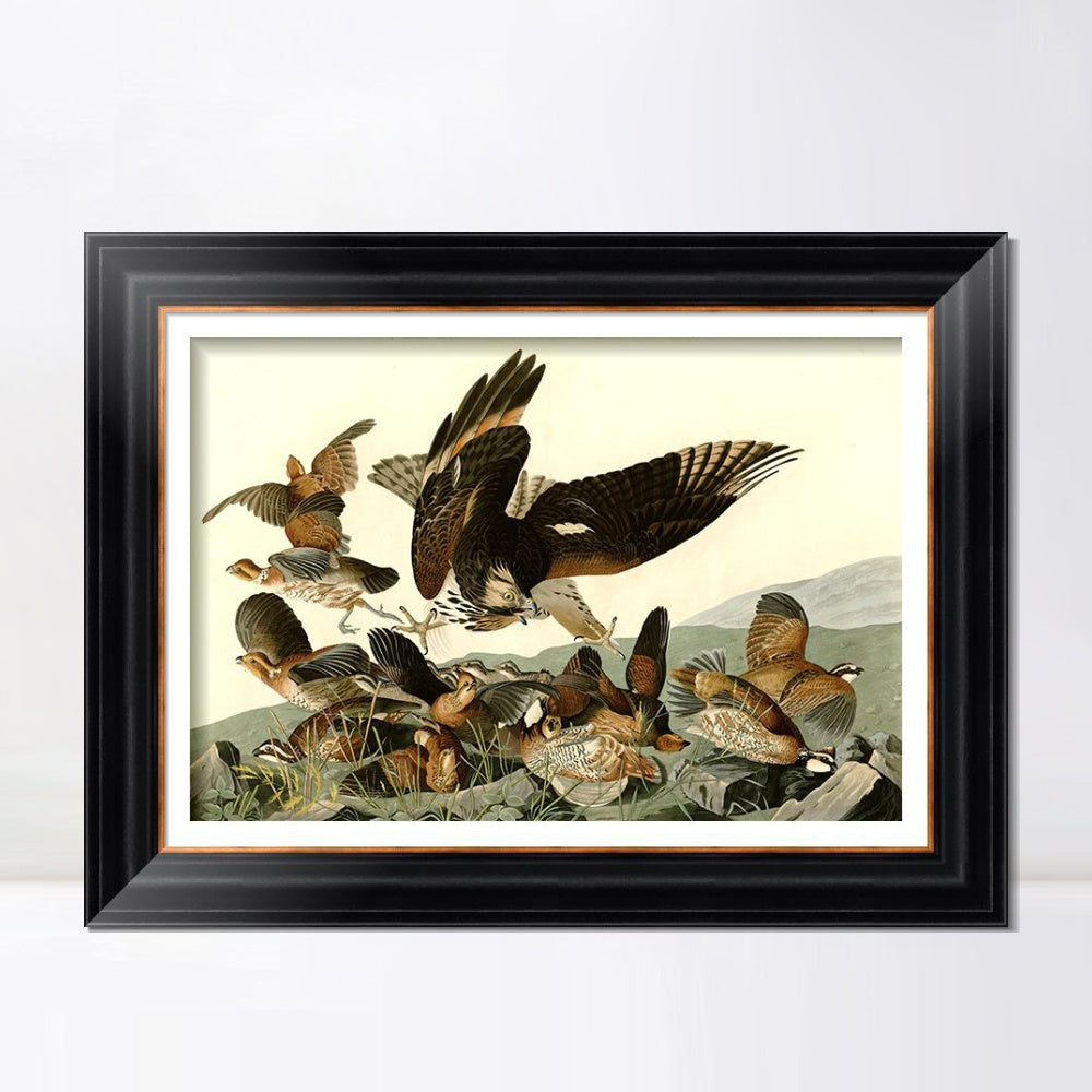 INVIN ART Framed Canvas Art Giclee Print Virginian_Partridge by John James Audubon  Home Office Wall Art Decorations