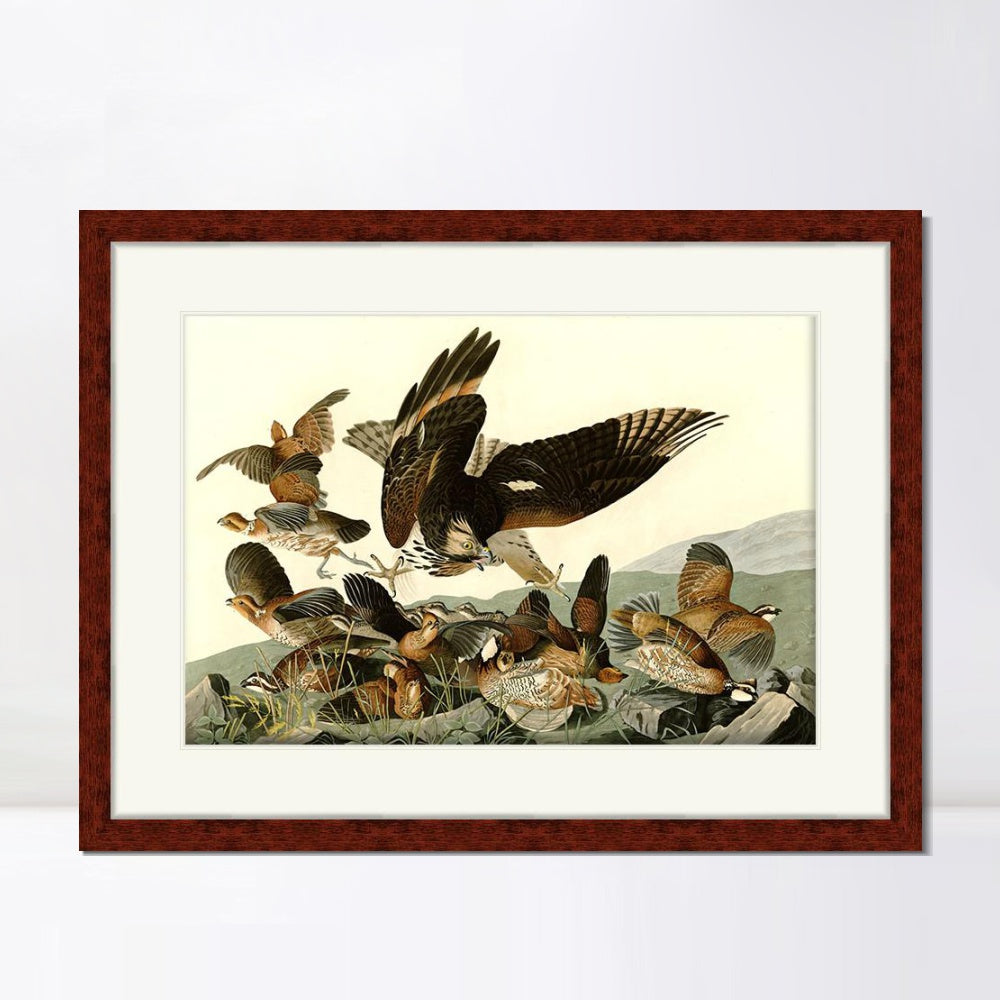 INVIN ART Framed Canvas Art Giclee Print Virginian_Partridge by John James Audubon  Home Office Wall Art Decorations