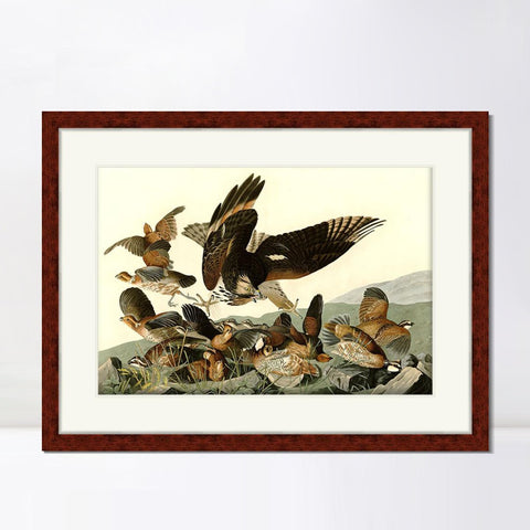 INVIN ART Framed Canvas Art Giclee Print Virginian_Partridge by John James Audubon Living Room Home Office Wall Art Decorations