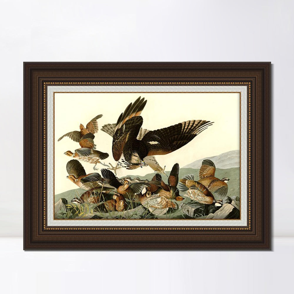 INVIN ART Framed Canvas Art Giclee Print Virginian_Partridge by John James Audubon  Home Office Wall Art Decorations