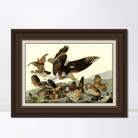 INVIN ART Framed Canvas Art Giclee Print Virginian_Partridge by John James Audubon Living Room Home Office Wall Art Decorations