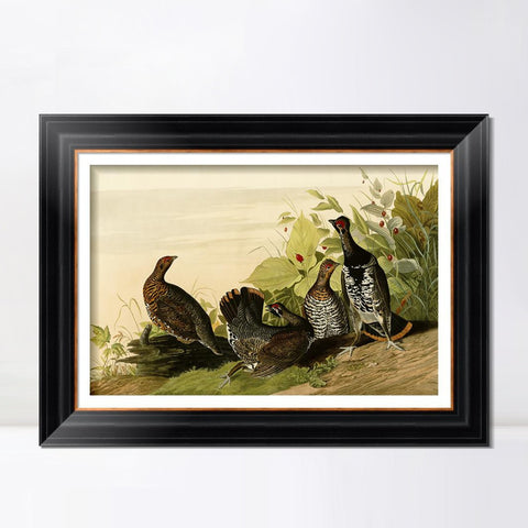 INVIN ART Framed Canvas Art Giclee Print Spotted_Grous by John James Audubon Living Room Home Office
