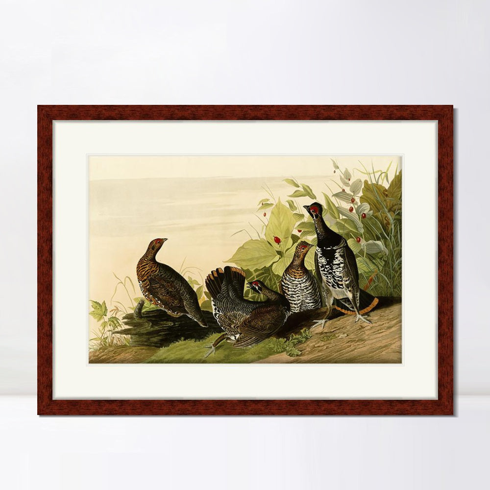 INVIN ART Framed Canvas Art Giclee Print Spotted_Grous by John James Audubon  Home Office