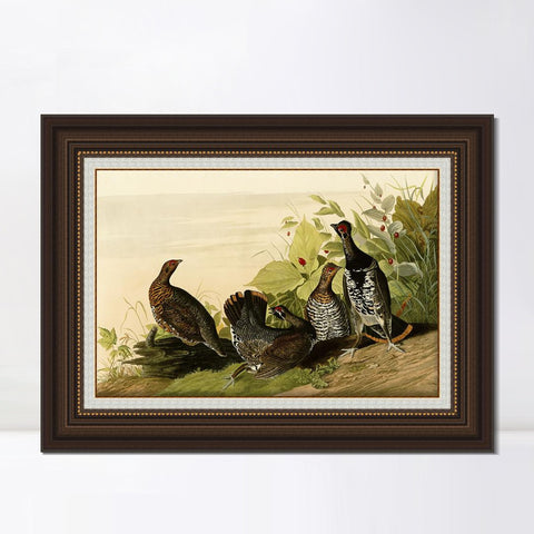 INVIN ART Framed Canvas Art Giclee Print Spotted_Grous by John James Audubon Living Room Home Office