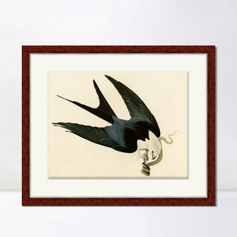 INVIN ART Framed Canvas Art Giclee Print Swallow Tailed Hawk by John James Audubon Living Room Home Office Wall Art Decorations
