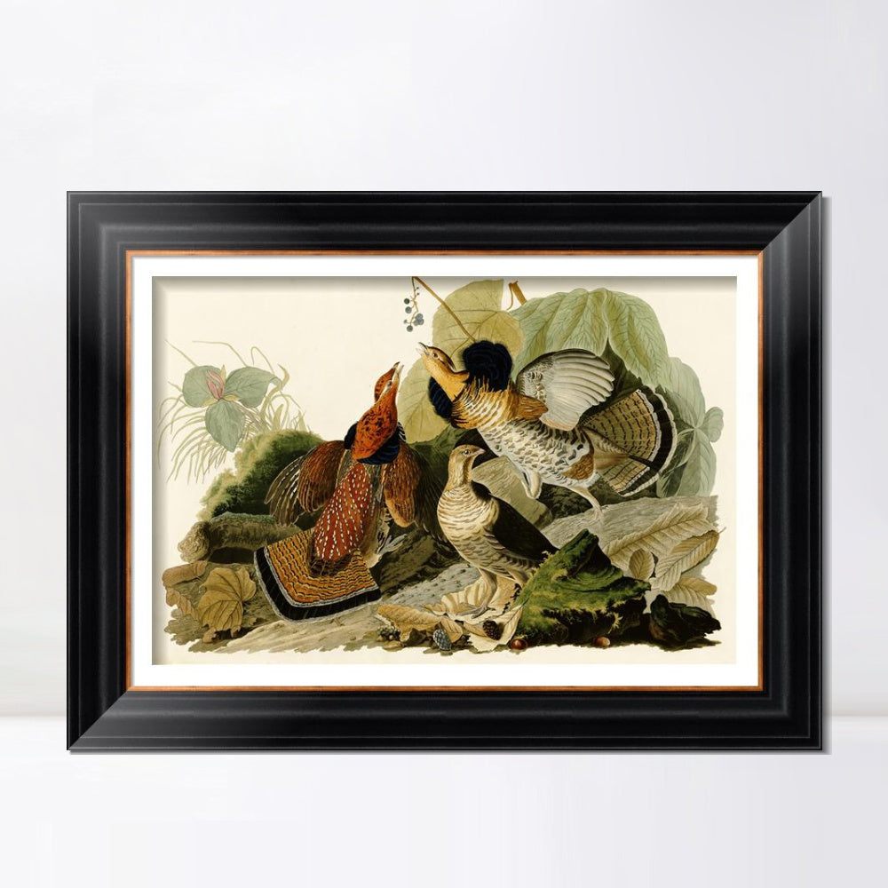 INVIN ART Framed Canvas Art Giclee Print Ruffed Grouse by John James Audubon  Home Office Wall Art Decorations