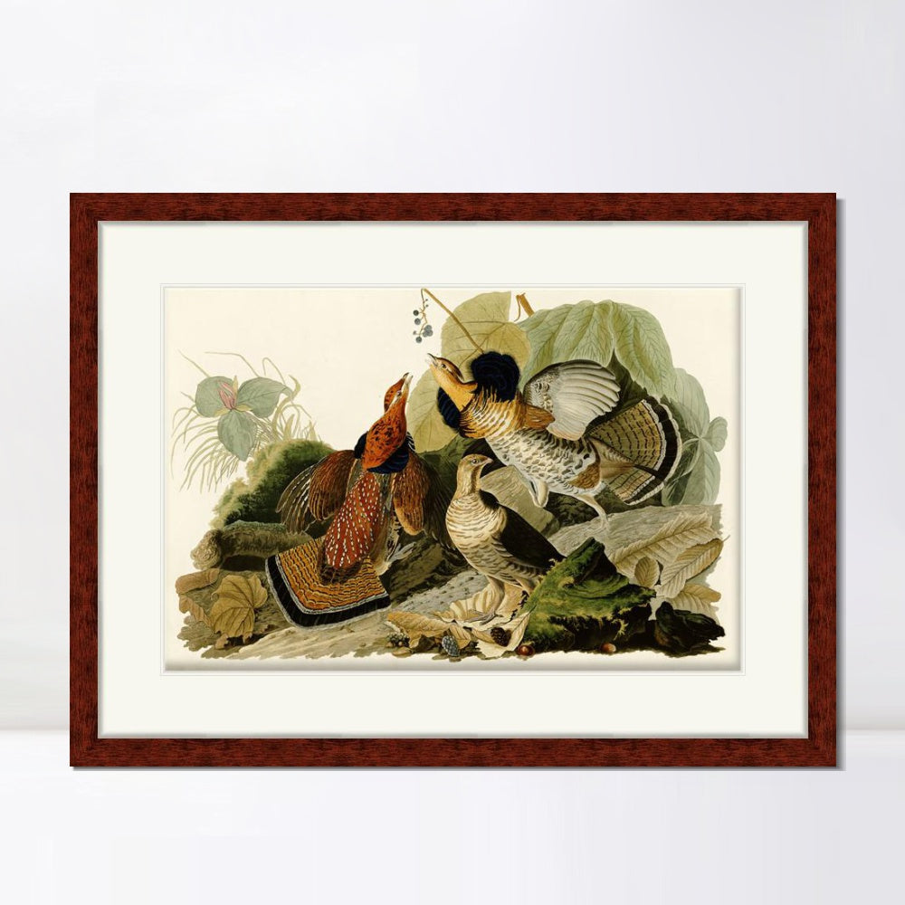 INVIN ART Framed Canvas Art Giclee Print Ruffed Grouse by John James Audubon  Home Office Wall Art Decorations