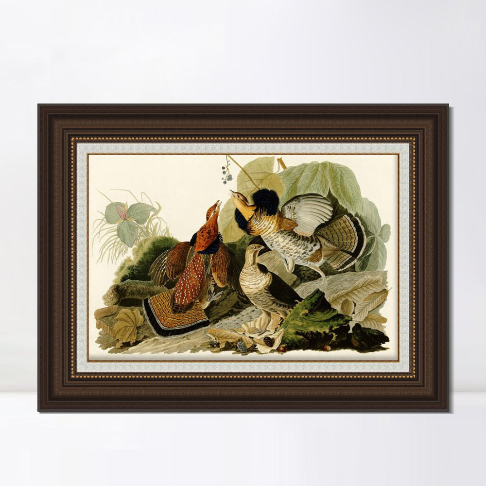 INVIN ART Framed Canvas Art Giclee Print Ruffed Grouse by John James Audubon  Home Office Wall Art Decorations