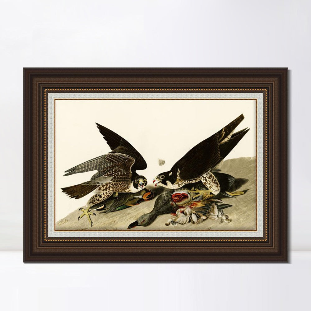 INVIN ART Framed Canvas Art Giclee Print Great Footed Hawk by John James Audubon  Home Office Wall Art Decorations