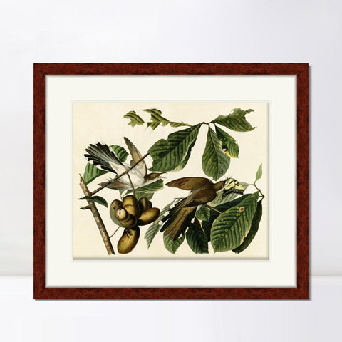 INVIN ART Framed Canvas Art Giclee Print Yellow Billed Cuckoo by John James Audubon Living Room Home Office Wall Art Decorations