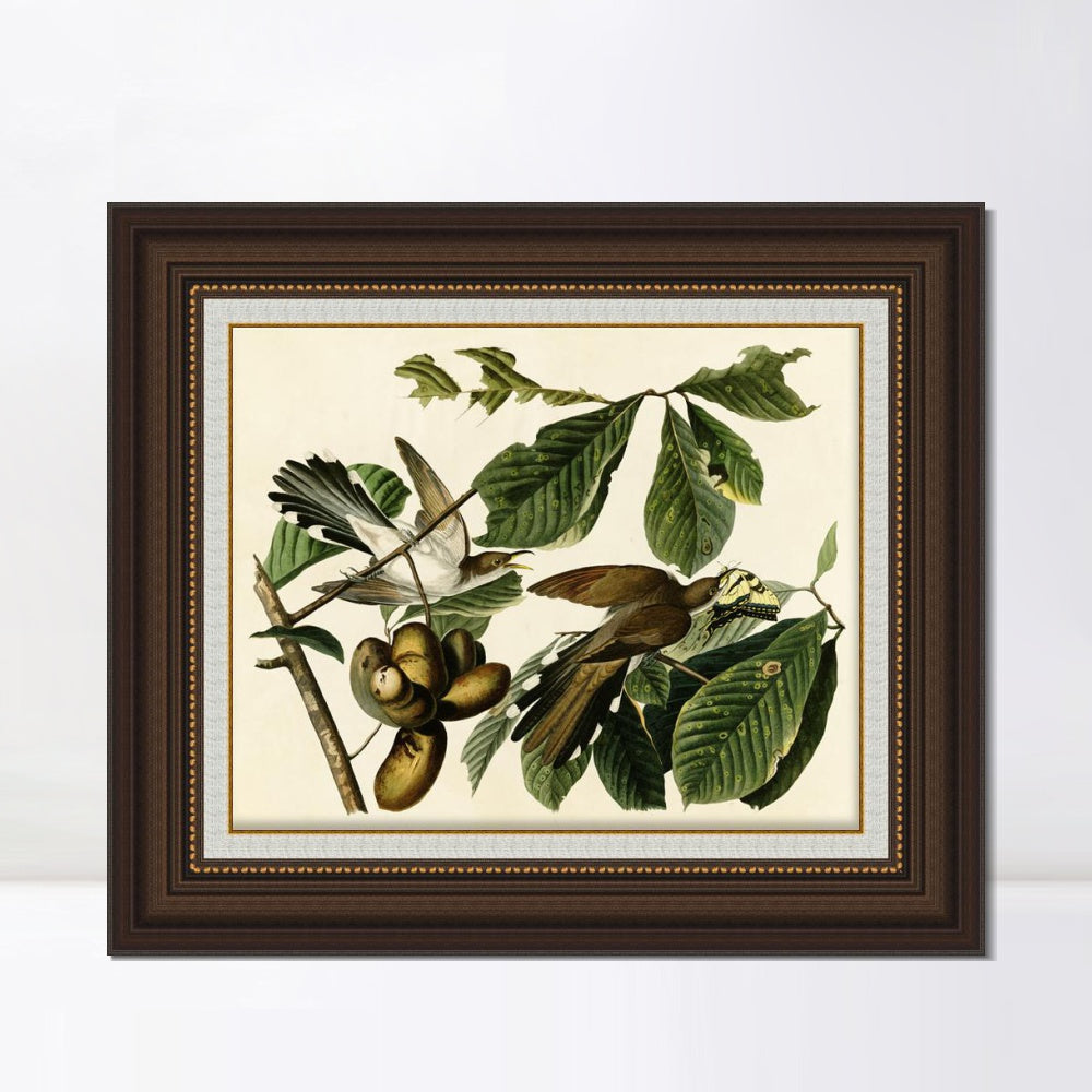 INVIN ART Framed Canvas Art Giclee Print Yellow Billed Cuckoo by John James Audubon  Home Office Wall Art Decorations
