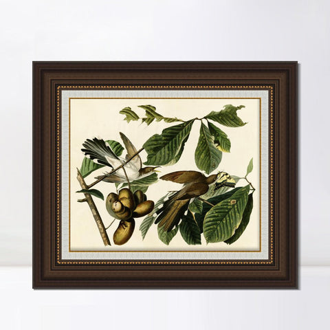 INVIN ART Framed Canvas Art Giclee Print Yellow Billed Cuckoo by John James Audubon Living Room Home Office Wall Art Decorations