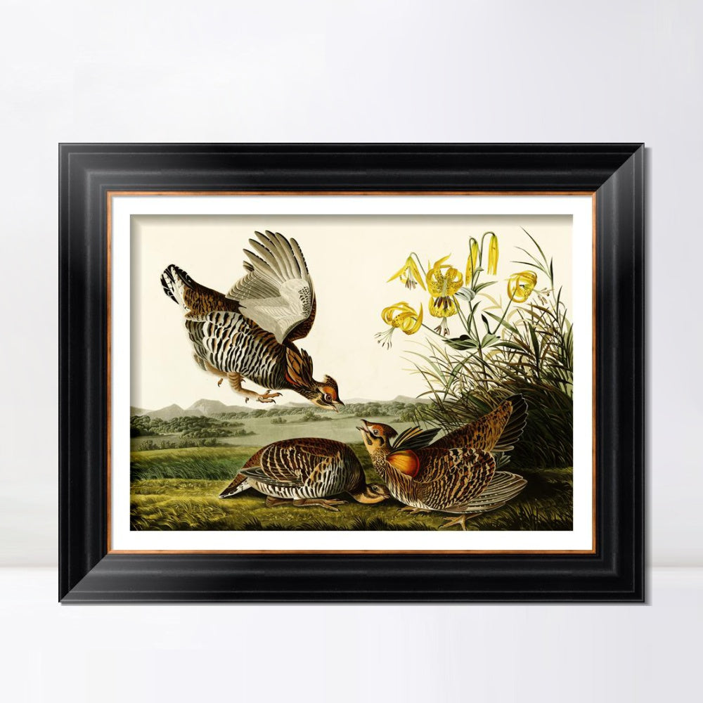 INVIN ART Framed Canvas Art Giclee Print Pinnated Grous by John James Audubon  Home Office Wall Art Decorations
