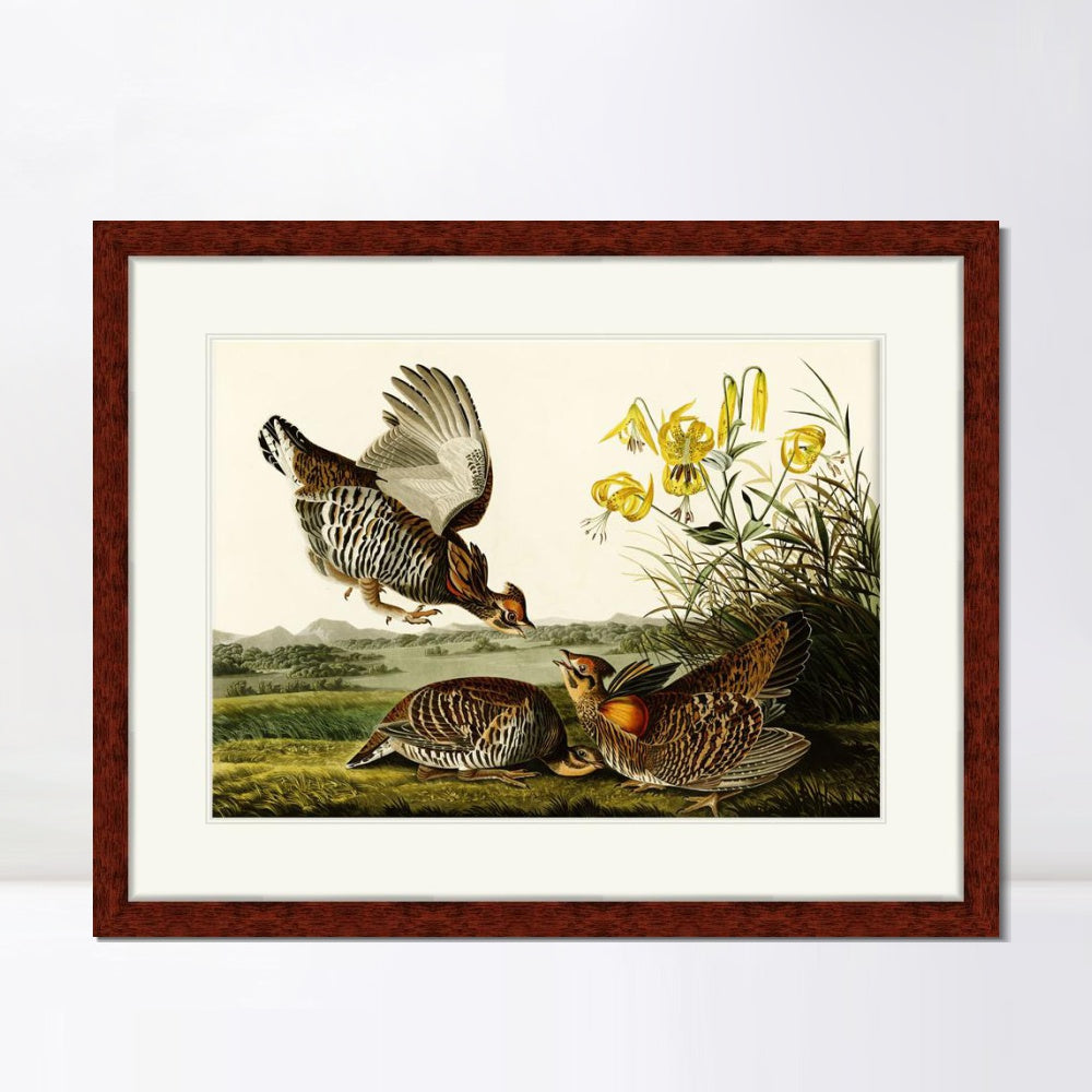 INVIN ART Framed Canvas Art Giclee Print Pinnated Grous by John James Audubon  Home Office Wall Art Decorations