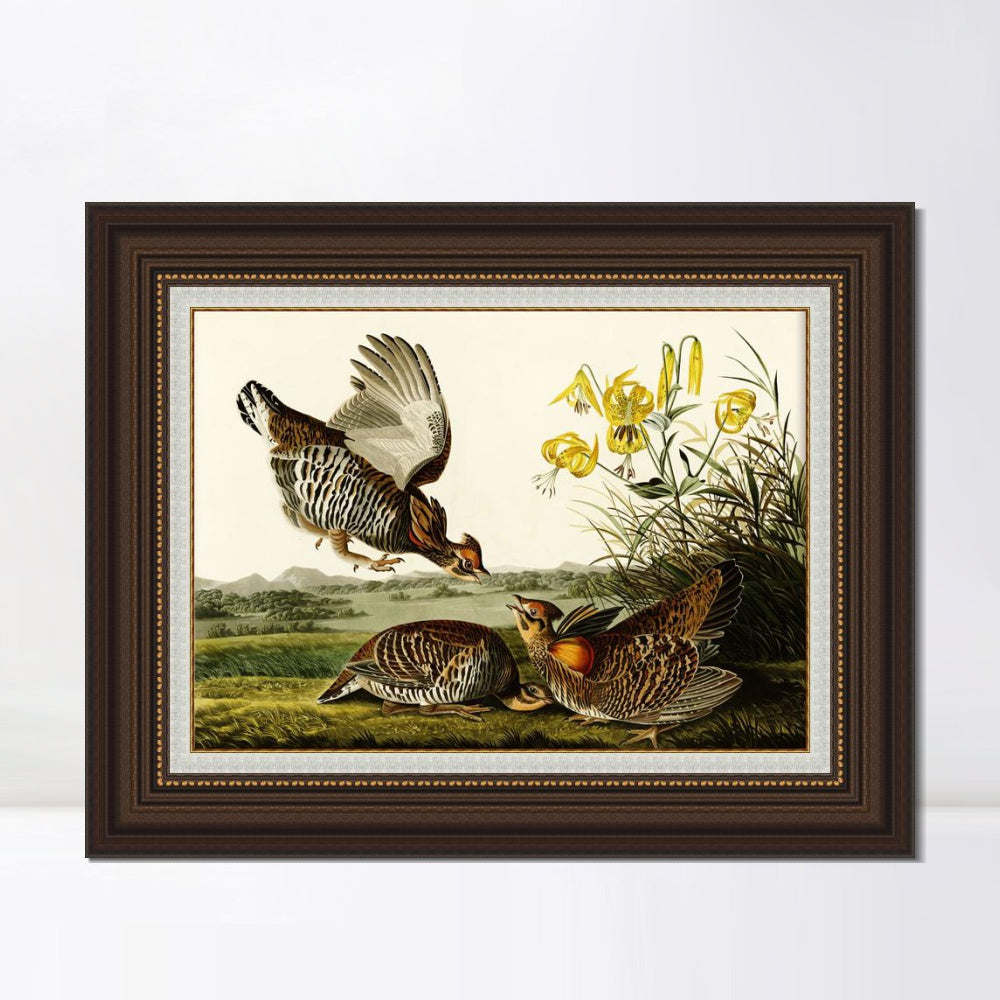 INVIN ART Framed Canvas Art Giclee Print Pinnated Grous by John James Audubon  Home Office Wall Art Decorations