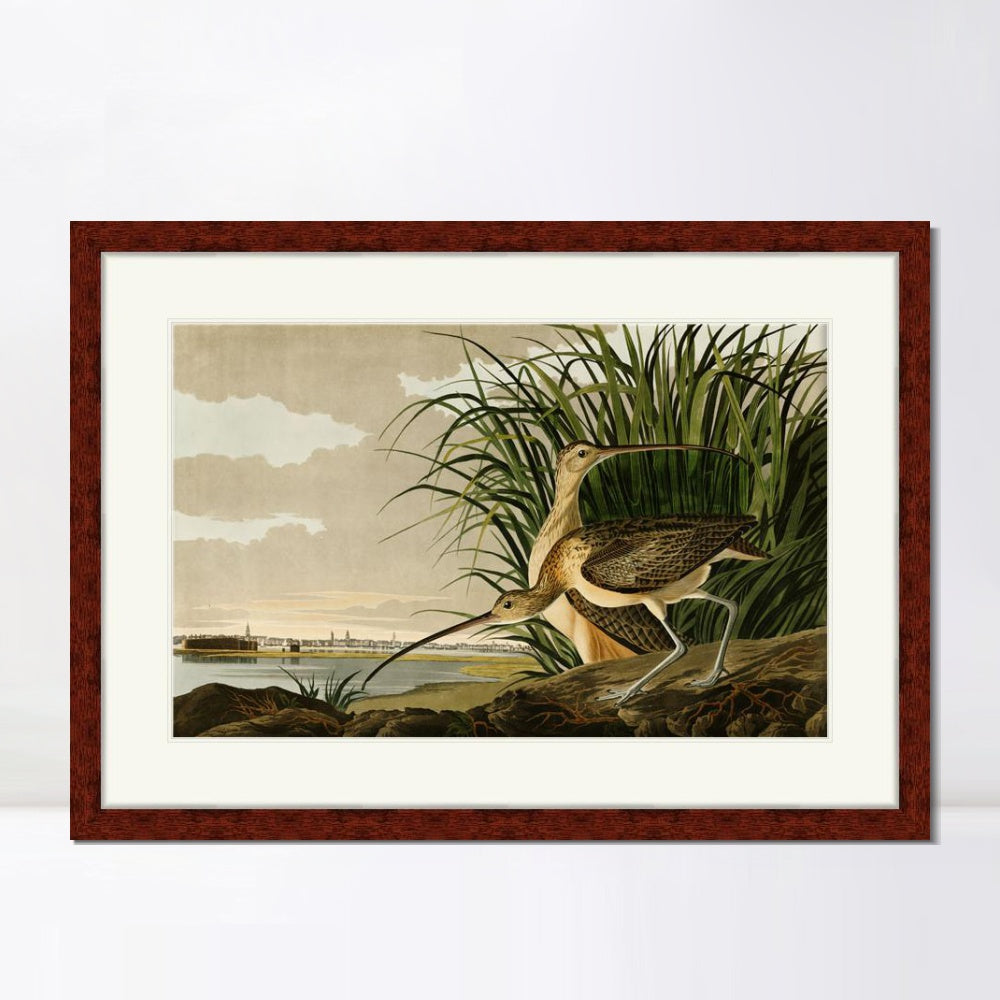 INVIN ART Framed Canvas Art Giclee Print Long Billed Curlew by John James Audubon Wall Room Home Office Art Living Decorations