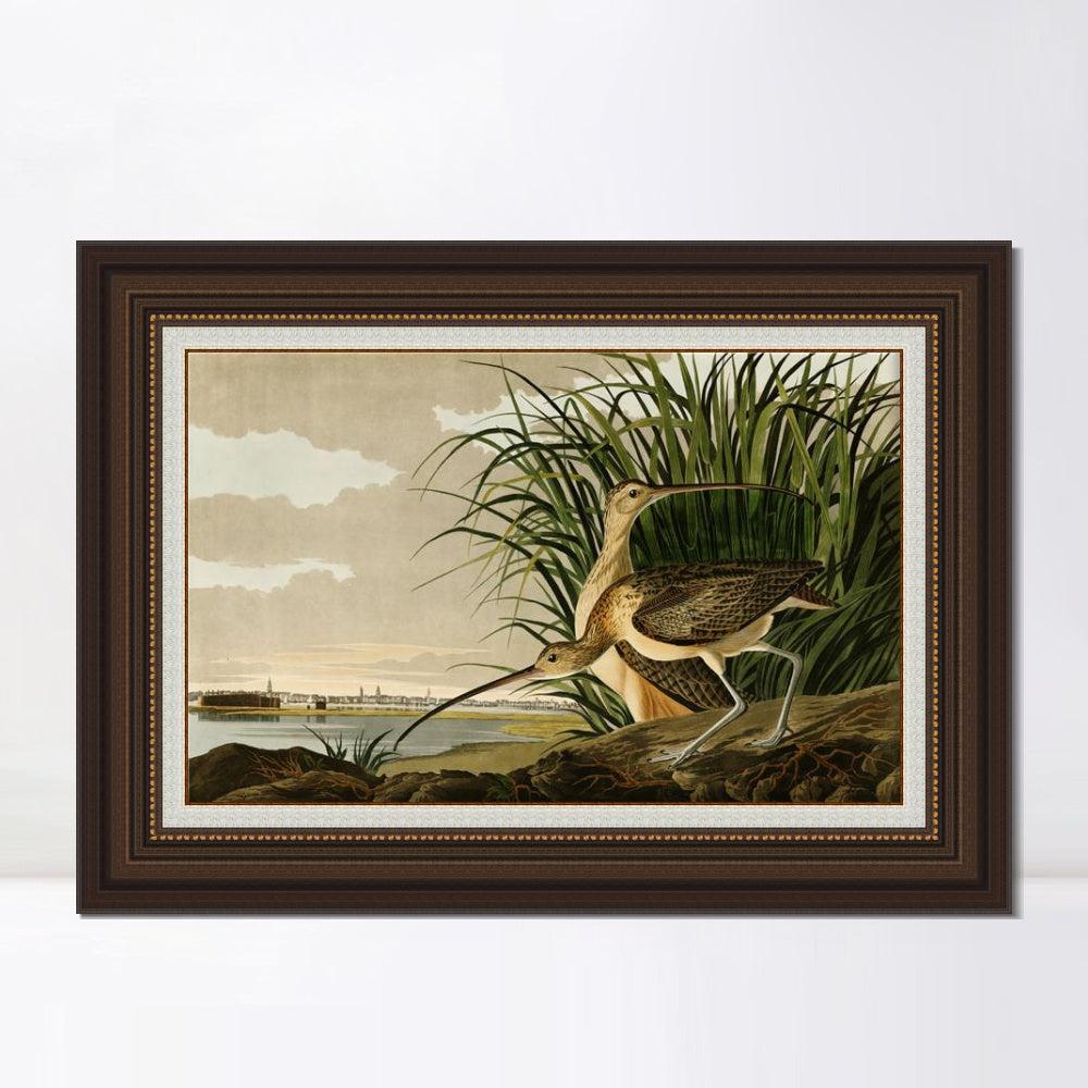 INVIN ART Framed Canvas Art Giclee Print Long Billed Curlew by John James Audubon Wall Room Home Office Art Living Decorations