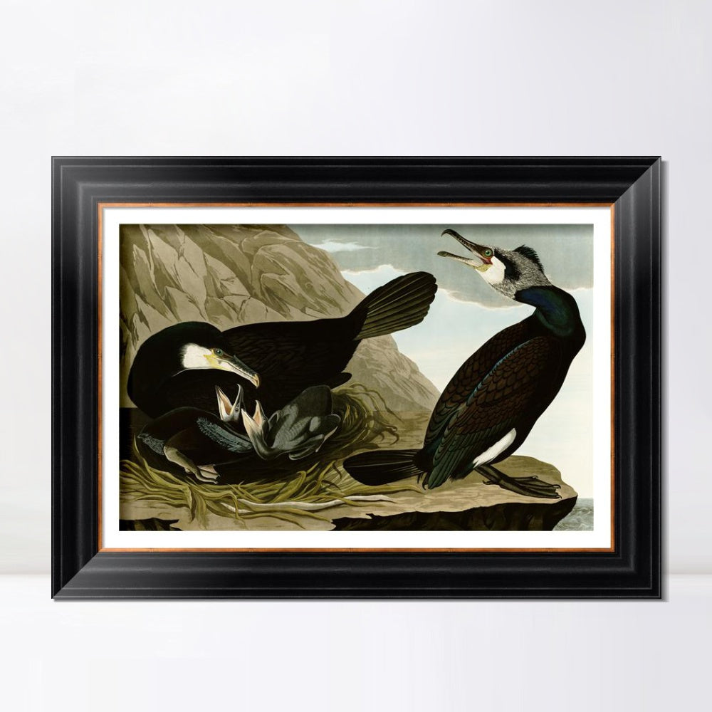 INVIN ART Framed Canvas Art Giclee Print Common Cormorant by John James Audubon  Home Office Wall Art Decorations