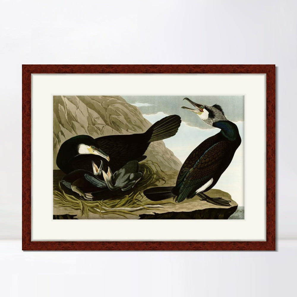 INVIN ART Framed Canvas Art Giclee Print Common Cormorant by John James Audubon  Home Office Wall Art Decorations
