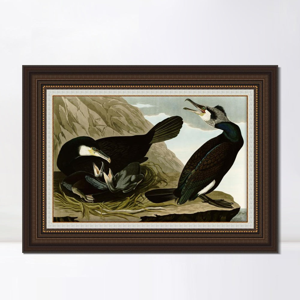 INVIN ART Framed Canvas Art Giclee Print Common Cormorant by John James Audubon  Home Office Wall Art Decorations
