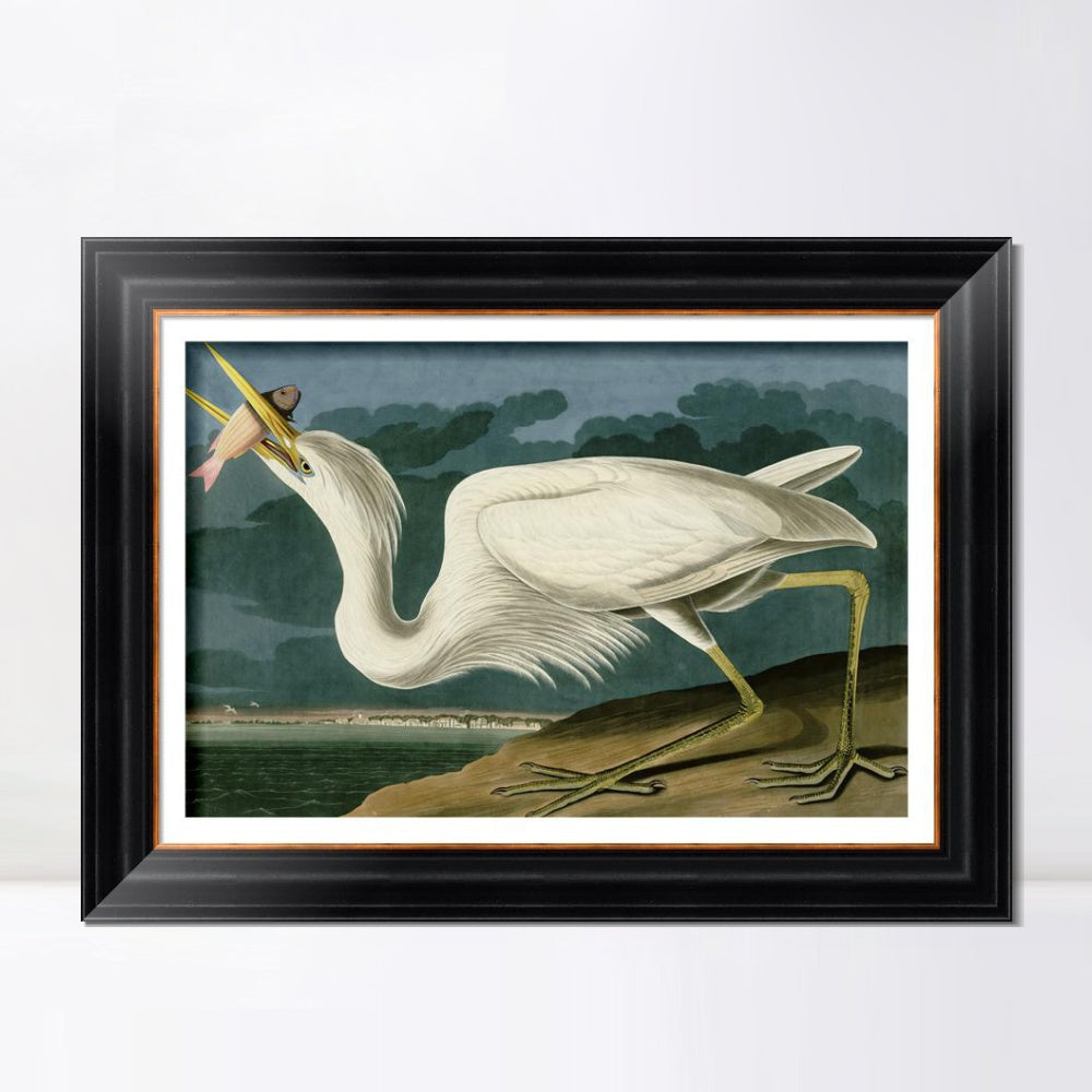 INVIN ART Framed Canvas Art Giclee Print Great White Heron by John James Audubon  Home Office Wall Art Decorations
