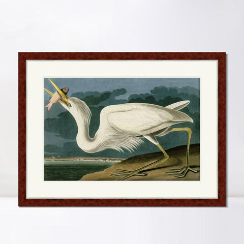 INVIN ART Framed Canvas Art Giclee Print Great White Heron by John James Audubon Living Room Home Office Wall Art Decorations