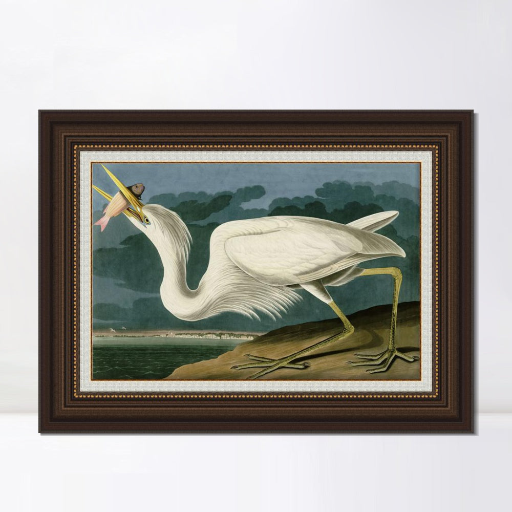 INVIN ART Framed Canvas Art Giclee Print Great White Heron by John James Audubon  Home Office Wall Art Decorations