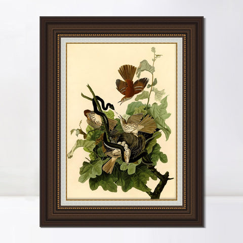 INVIN ART Framed Canvas Art Giclee Print Pileated Woodpecker by John James Audubon Living Room Home Office Wall Art Decorations