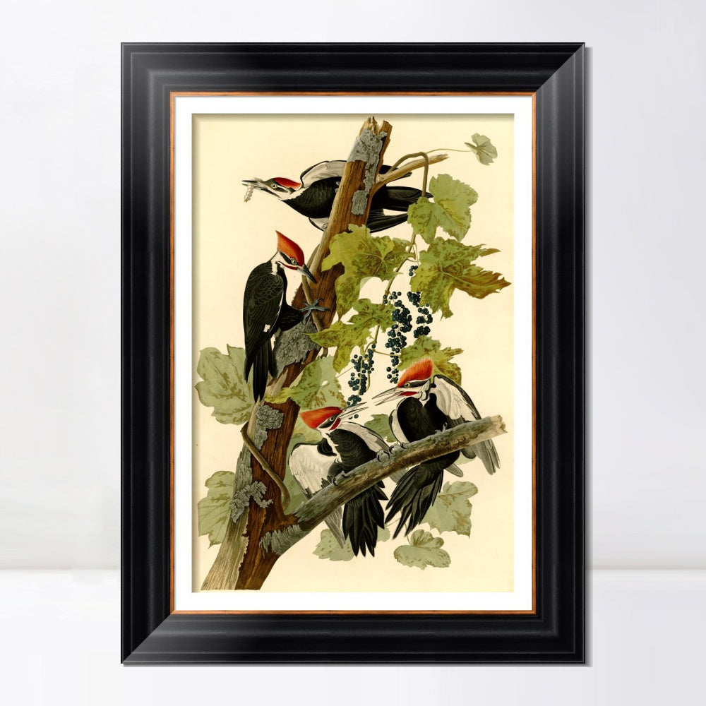 INVIN ART Framed Canvas Art Giclee Print Pileated Woodpecker by John James Audubon  Home Office Wall Art Decorations