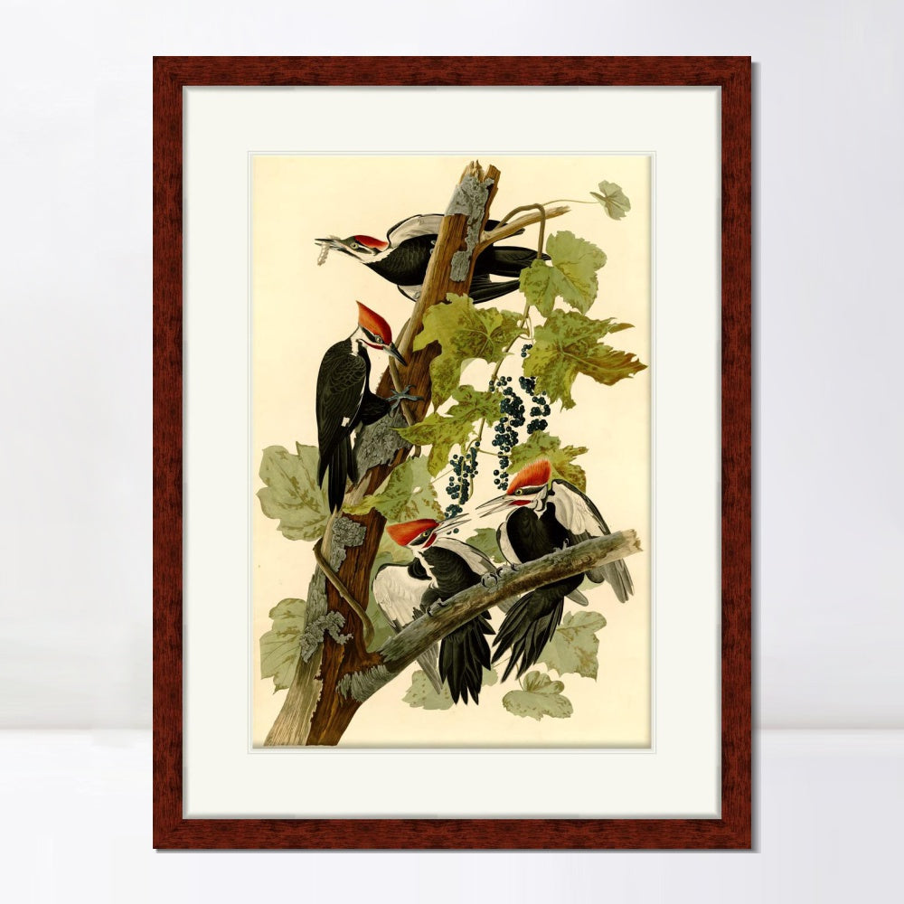 INVIN ART Framed Canvas Art Giclee Print Pileated Woodpecker by John James Audubon  Home Office Wall Art Decorations