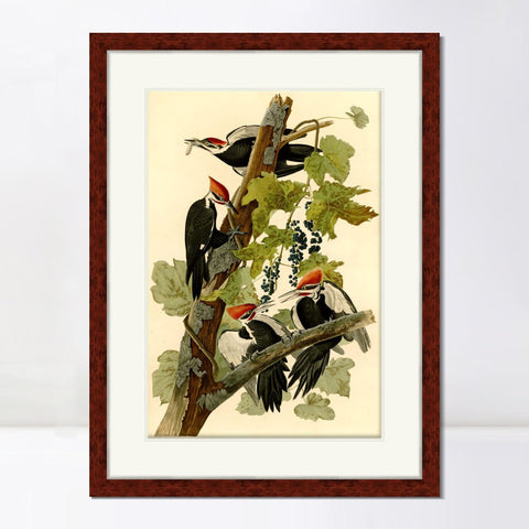 INVIN ART Framed Canvas Art Giclee Print Pileated Woodpecker by John James Audubon Living Room Home Office Wall Art Decorations